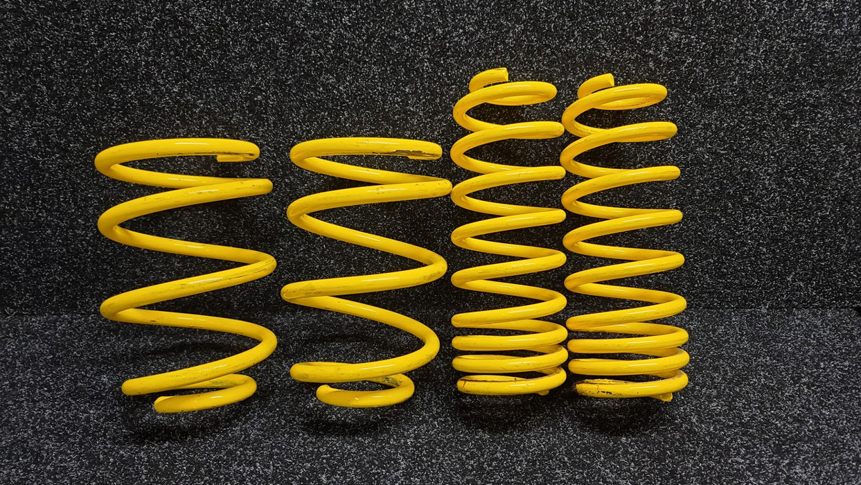 ENDLESS ZEAL X-Coils suit MK3 Renault Sport Megane RS 250 265 275