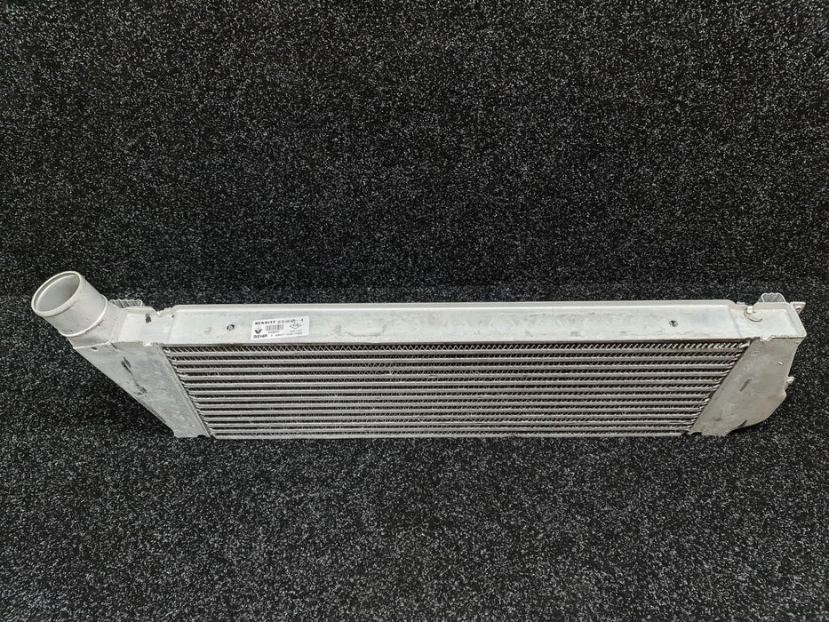 Renault Sport Megane MK2 225 F1 Edition Front Mount Inter Cooler F4RT 8200468425