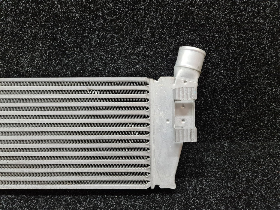 Renault Sport Megane MK2 225 F1 Edition Front Mount Inter Cooler F4RT 8200468425