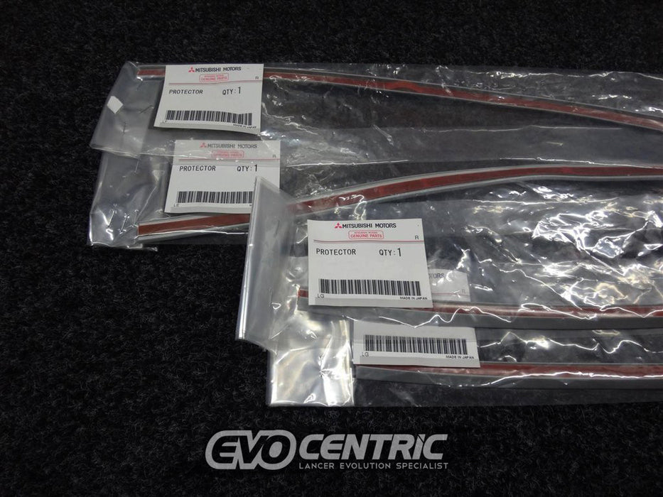 Rear Over Fender Flare Seal Kit SILVER - CP9A